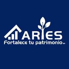 Omar Villareal, Conselheiro - Grupo Aries 